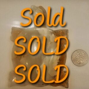 Large Onyx Turtle Cremes Whites Browns Yellows Approx: 4.50"L x 3.25"W x 1.25"H